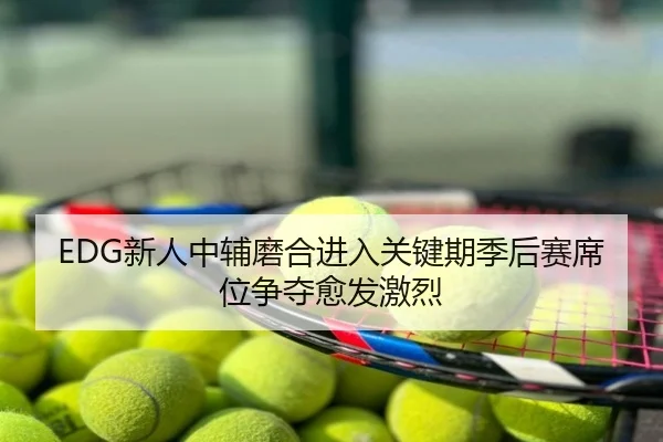 EDG新人中辅磨合进入关键期季后赛席位争夺愈发激烈