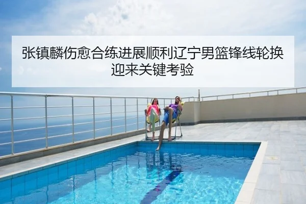 张镇麟伤愈合练进展顺利辽宁男篮锋线轮换迎来关键考验